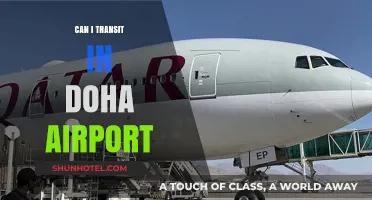 Exploring Transit Options at Doha's Airport