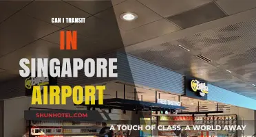 A Smooth Layover: Transiting in Singapore's Changi Airport