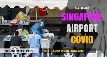 Singapore Airport Transit: COVID-19 Restrictions and Rules