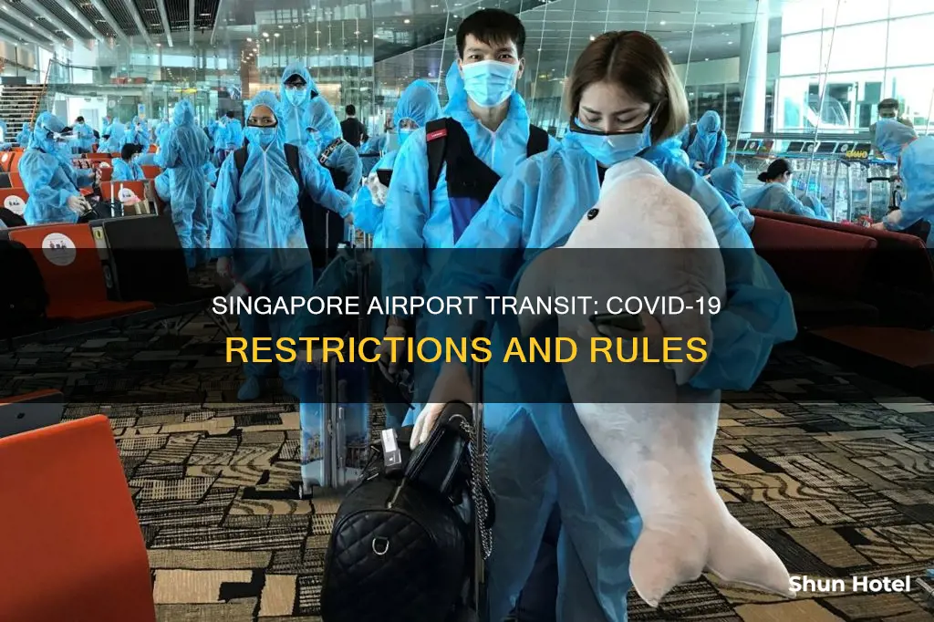 can i transit singapore airport covid