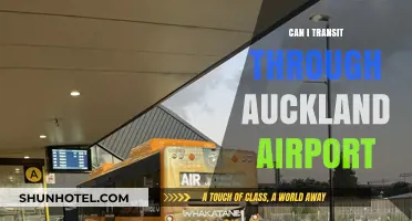 Auckland Airport Transit: What Are Your Options?