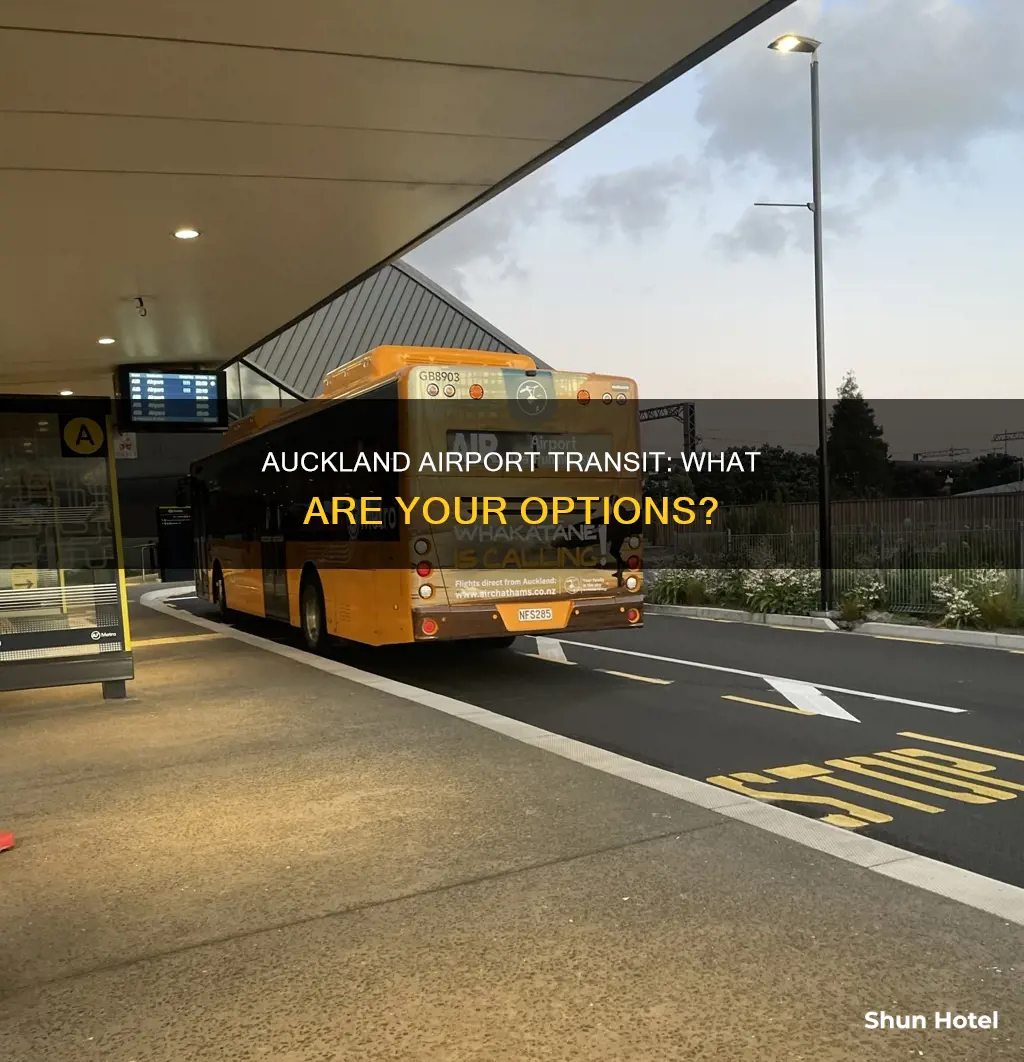 can i transit through auckland airport