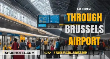 Exploring Transit Options via Brussels Airport