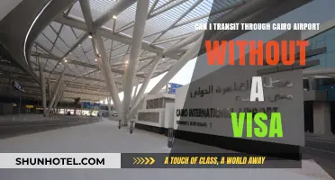 Transit through Cairo: Do I Need a Visa?