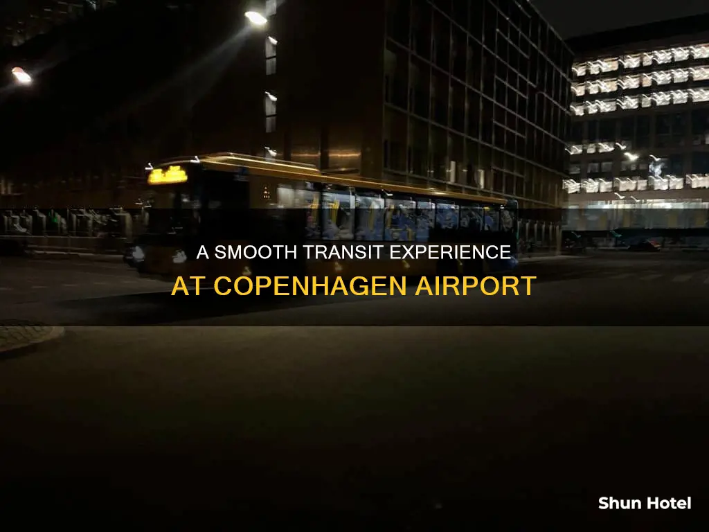 can i transit through copenhagen airport