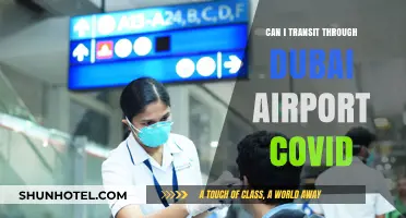 Dubai Airport Transit: COVID-19 Rules and Regulations