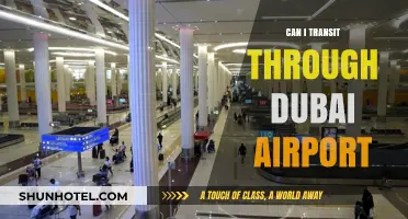 Dubai Airport Transit: What Are Your Options?