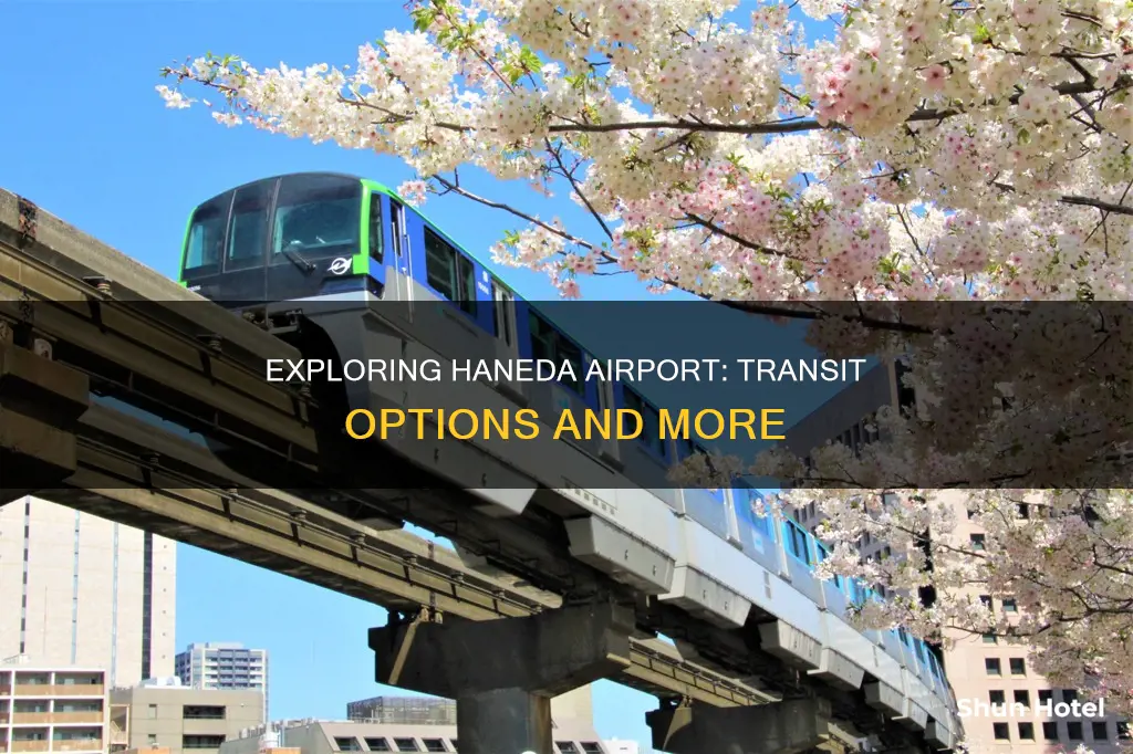 can i transit through haneda airport