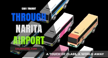 A Smooth Journey: Transiting through Narita Airport