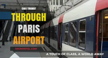 A Smooth Layover: Transiting Through Paris Airport