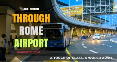 Transit Travails: Rome Airport Connections