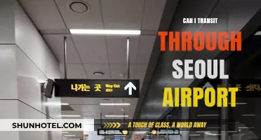 A Smooth Stopover: Transiting through Seoul's Airport