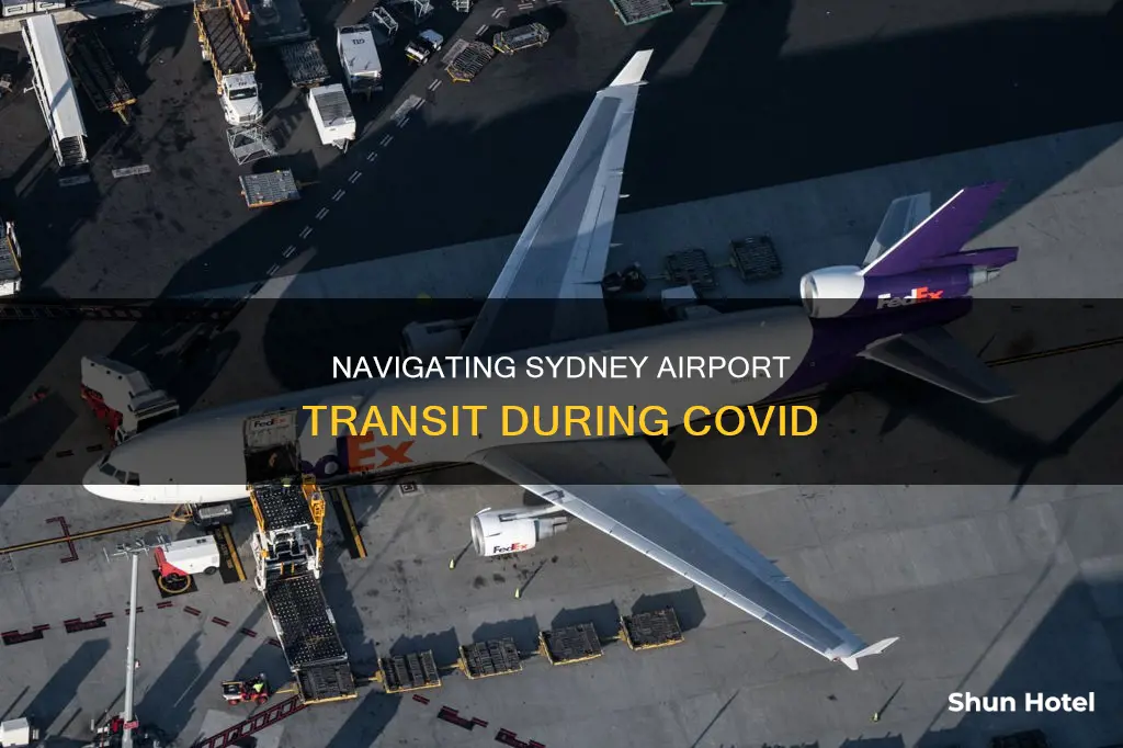 can i transit through sydney airport covid