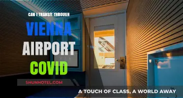 Vienna Airport Transit: COVID-19 Restrictions and Rules