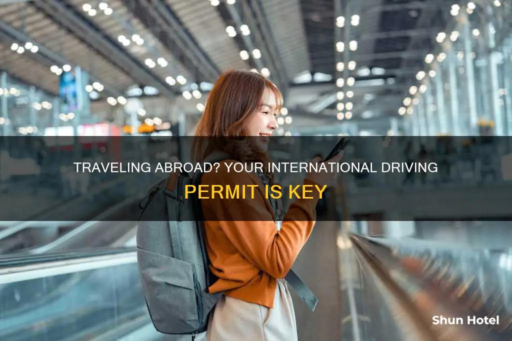 can i travel through airport on my international driving license