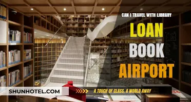 Airport Travel with Library Books: Allowed?