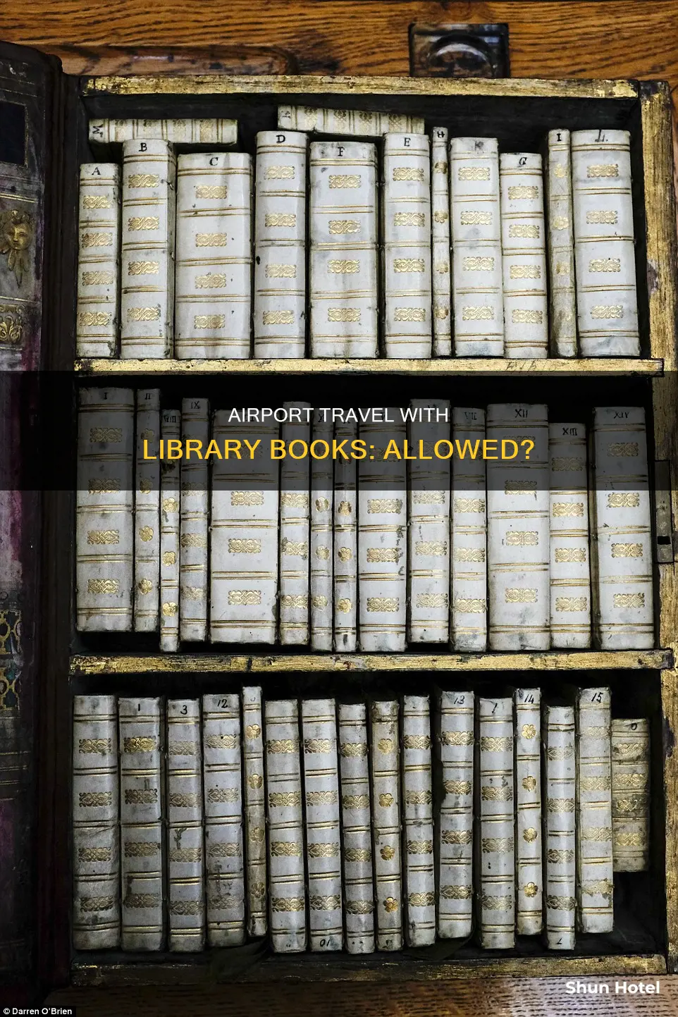 can i travel with library loan book airport