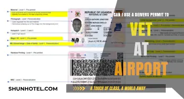 Airport Security: Can a Driver's Permit Get You Through?
