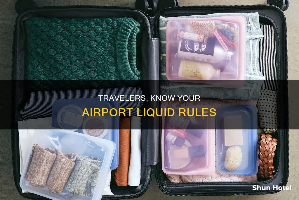can i use a gallon ziploc bag at the airport