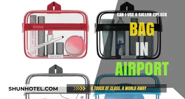 Using Gallon Ziplock Bags: Airport Security-Friendly?
