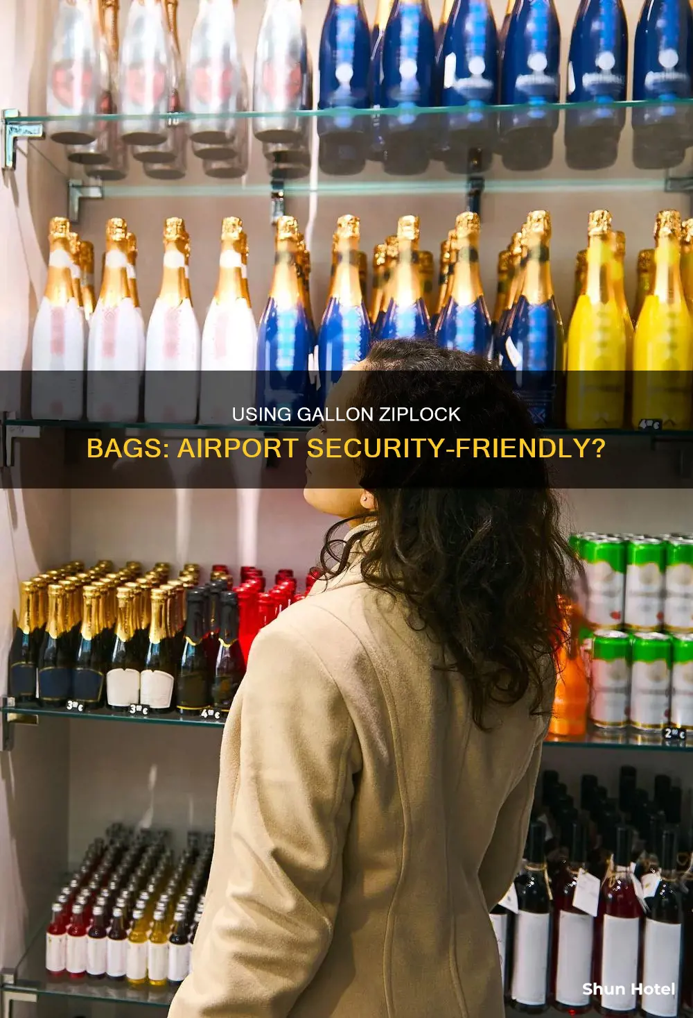 can i use a gallon ziplock bag in airport