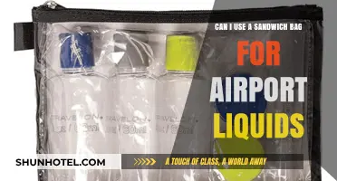 Airport Liquids: Sandwich Bags Allowed?
