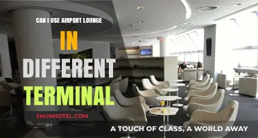 Lounge Access: Can You Use Any Terminal?