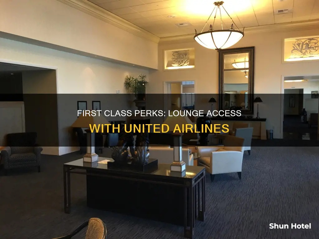 can i use airport lounge with first class ticket united