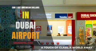 Using US Dollars in Dubai Airport: Is it Possible?