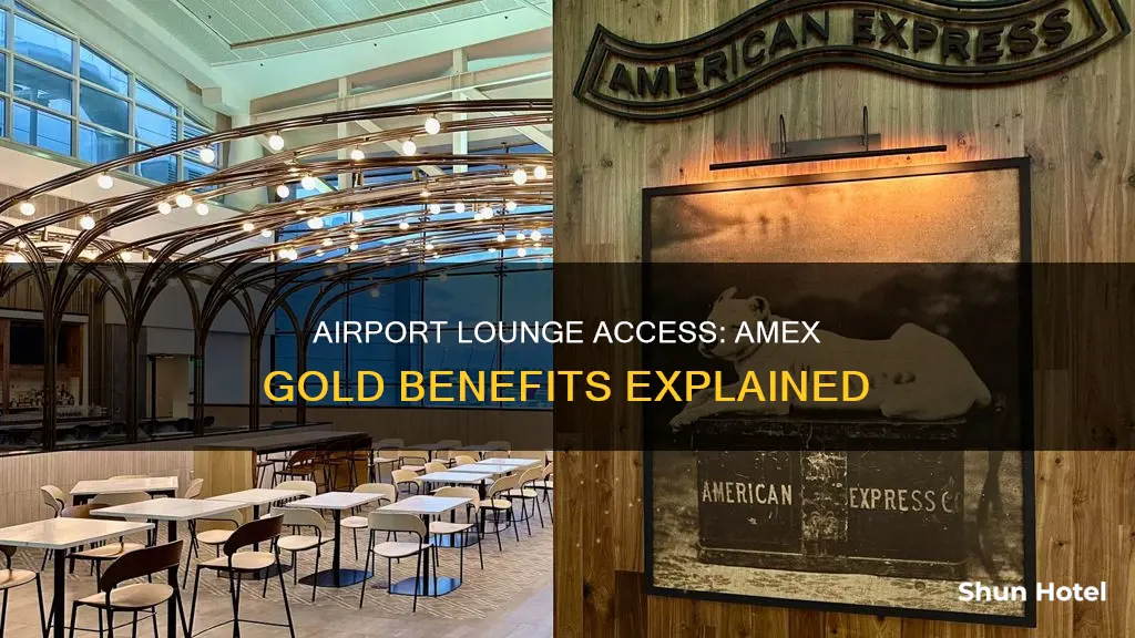 can i use amex gold for airport lounge