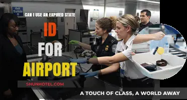 Traveling with an Expired ID: Airport Access?