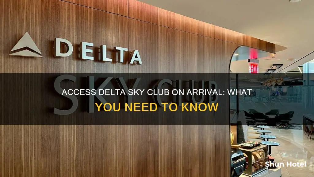 can i use delta sky club at arrival airport
