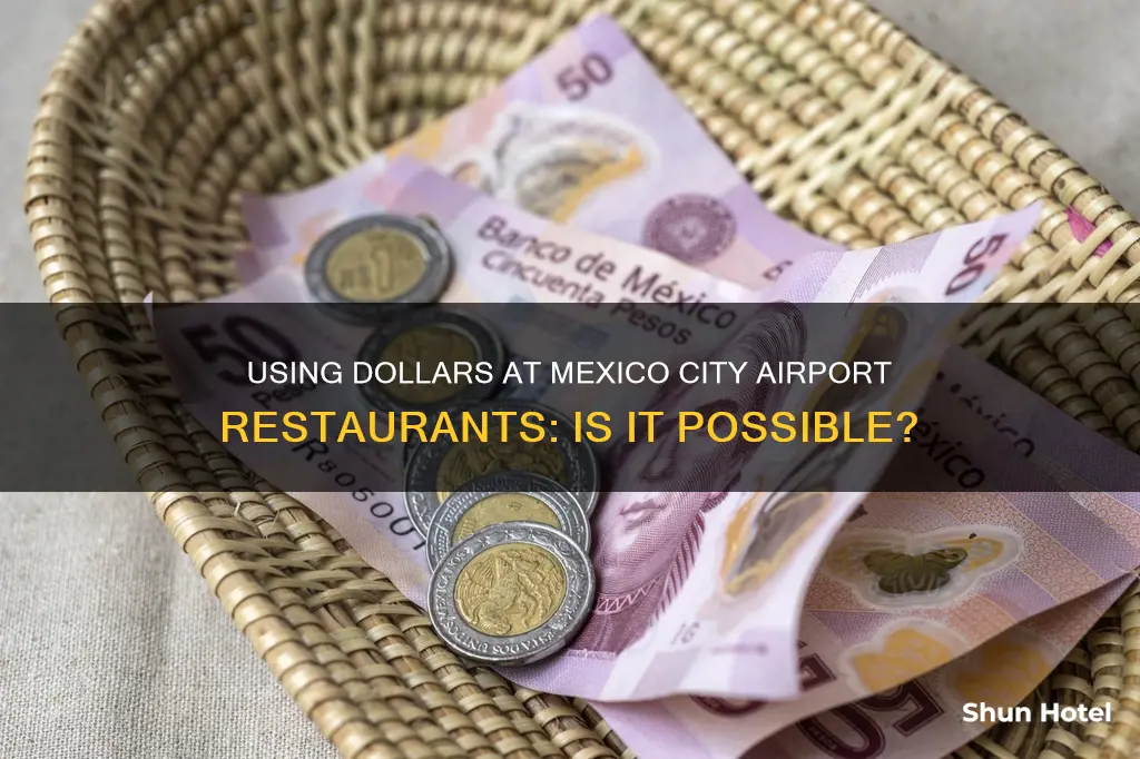can i use dolar at mexico city airport restaurants
