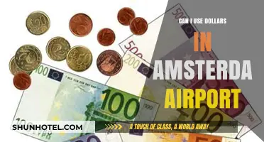 Using Dollars in Amsterdam Airport: Is It Possible?