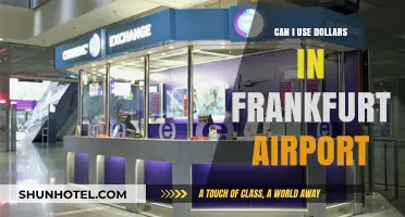 Using Dollars at Frankfurt Airport: Is it Possible?