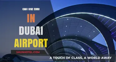 Using Euros in Dubai Airport: Is it Possible?