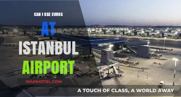 Istanbul Airport: Can Euros be Used?