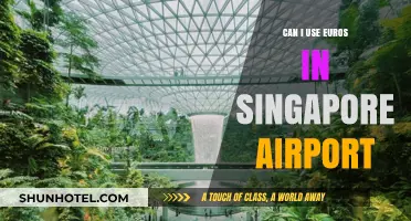 Using Euros in Singapore Changi Airport