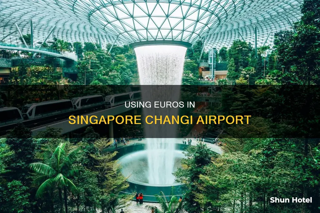 can i use euros in singapore airport
