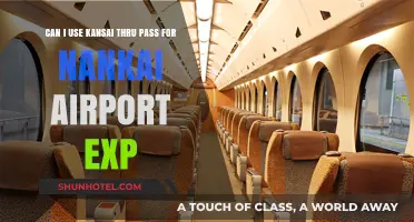 Exploring Kansai: Nankai Airport Express and Beyond