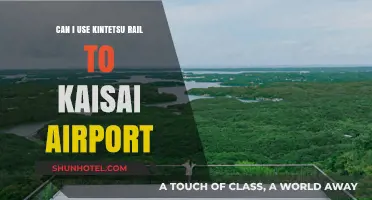 Kintetsu Rail: The Direct Route to Kansai Airport