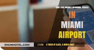 Mobile Boarding Passes: Miami Airport's Takeoff
