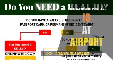 Traveling with a Carry Permit: Valid Airport ID?