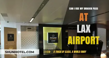 Dragon Pass Usage at LAX: What You Need to Know