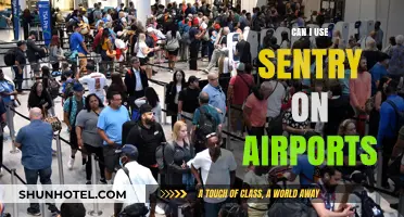 Sentry's Airport Access: Security and Privacy Concerns
