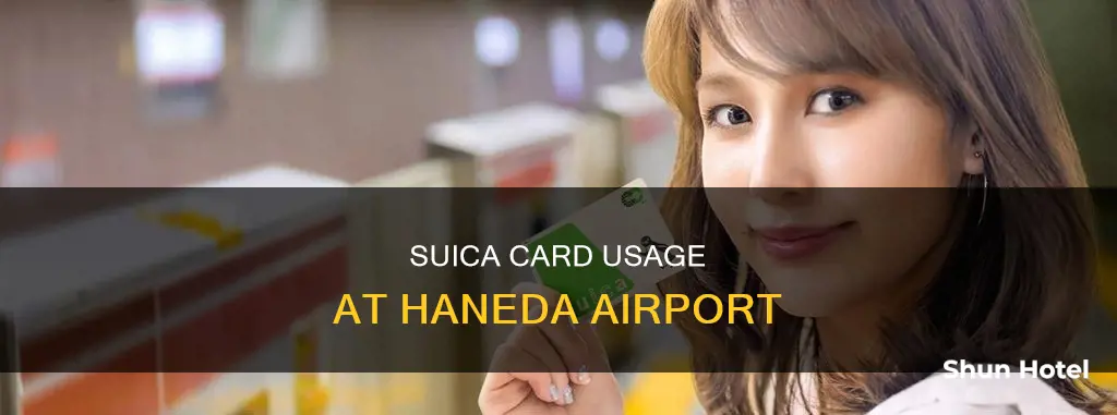 can i use suica at haneda airport
