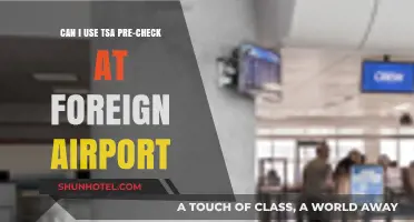 TSA PreCheck: Does It Work Abroad?