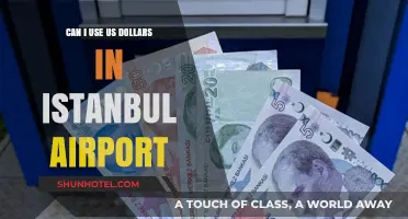 Using US Dollars at Istanbul Airport: Is It Possible?