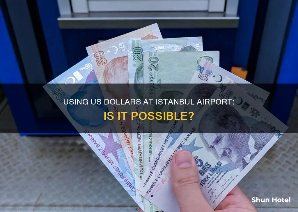 can i use us dollars in istanbul airport