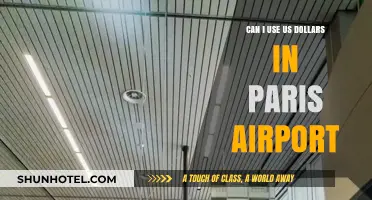 Using US Dollars in Paris Airport: Is It Possible?